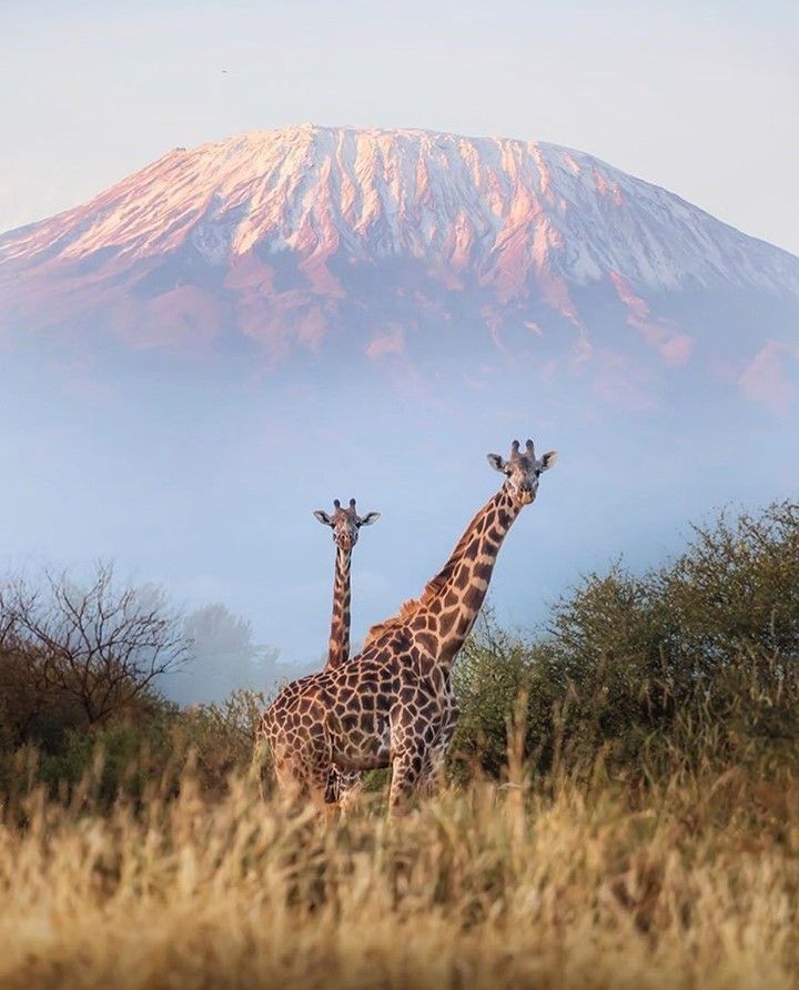 Tailor-made itineraries