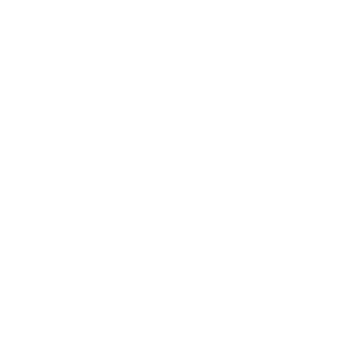 LEVEL 